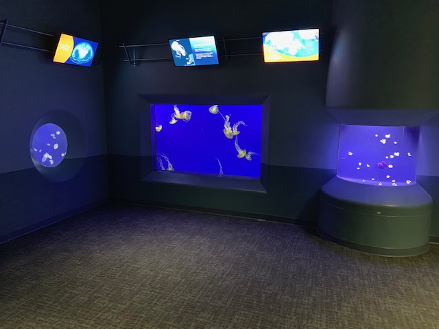 Pacific Seas Aquarium (New in 2018)