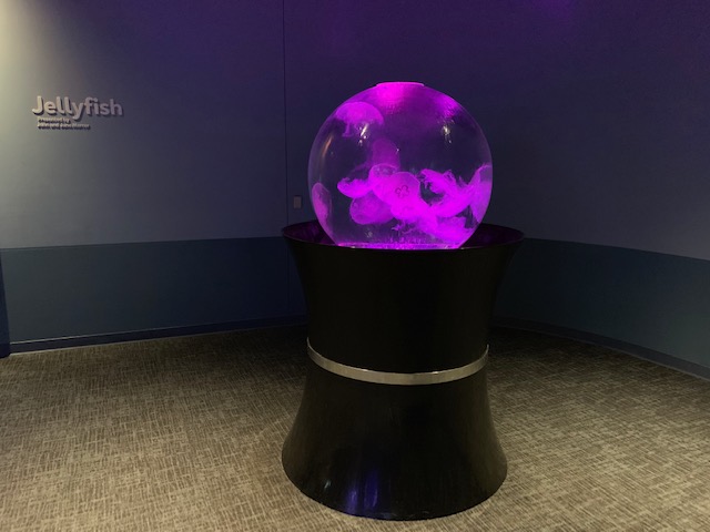 Pacific Seas Aquarium (New in 2018)
