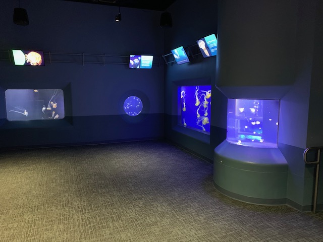Pacific Seas Aquarium (New in 2018)