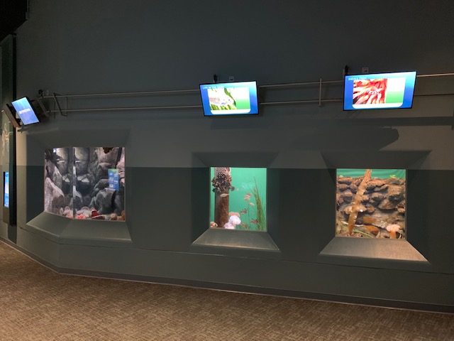 Pacific Seas Aquarium (New in 2018)