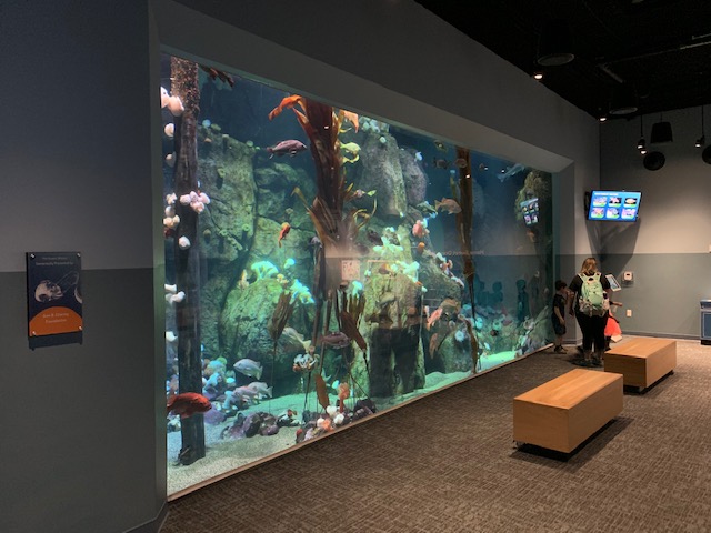 Pacific Seas Aquarium (New in 2018)