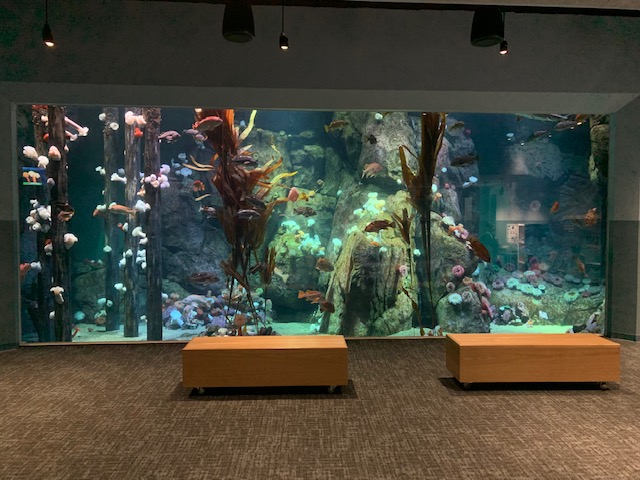 Pacific Seas Aquarium (New in 2018)