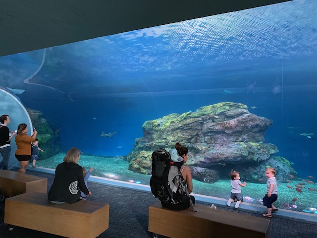 Pacific Seas Aquarium (New in 2018)