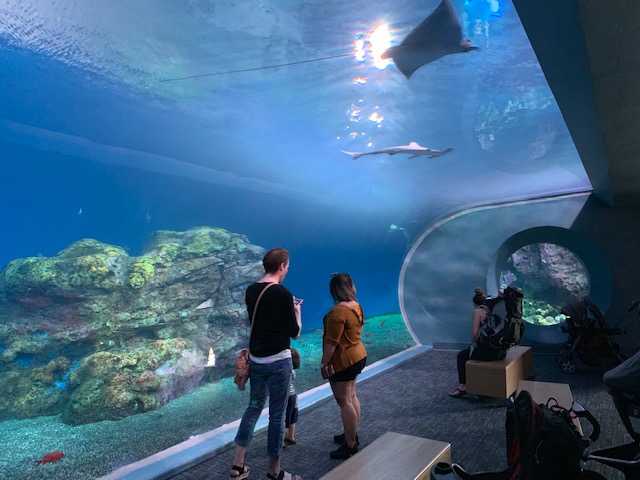 Pacific Seas Aquarium (New in 2018)