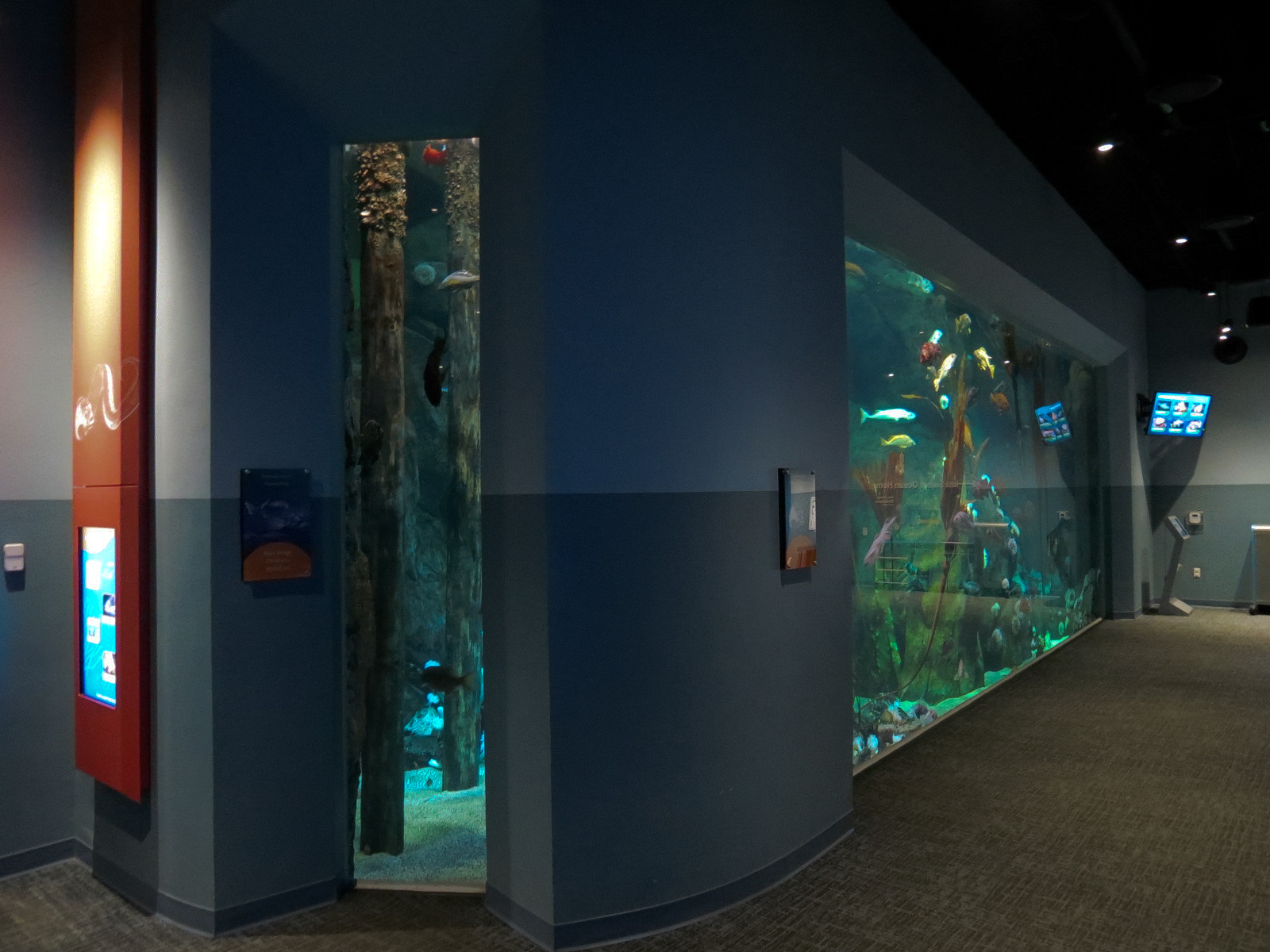 Pacific Seas Aquarium - Northwest Waters