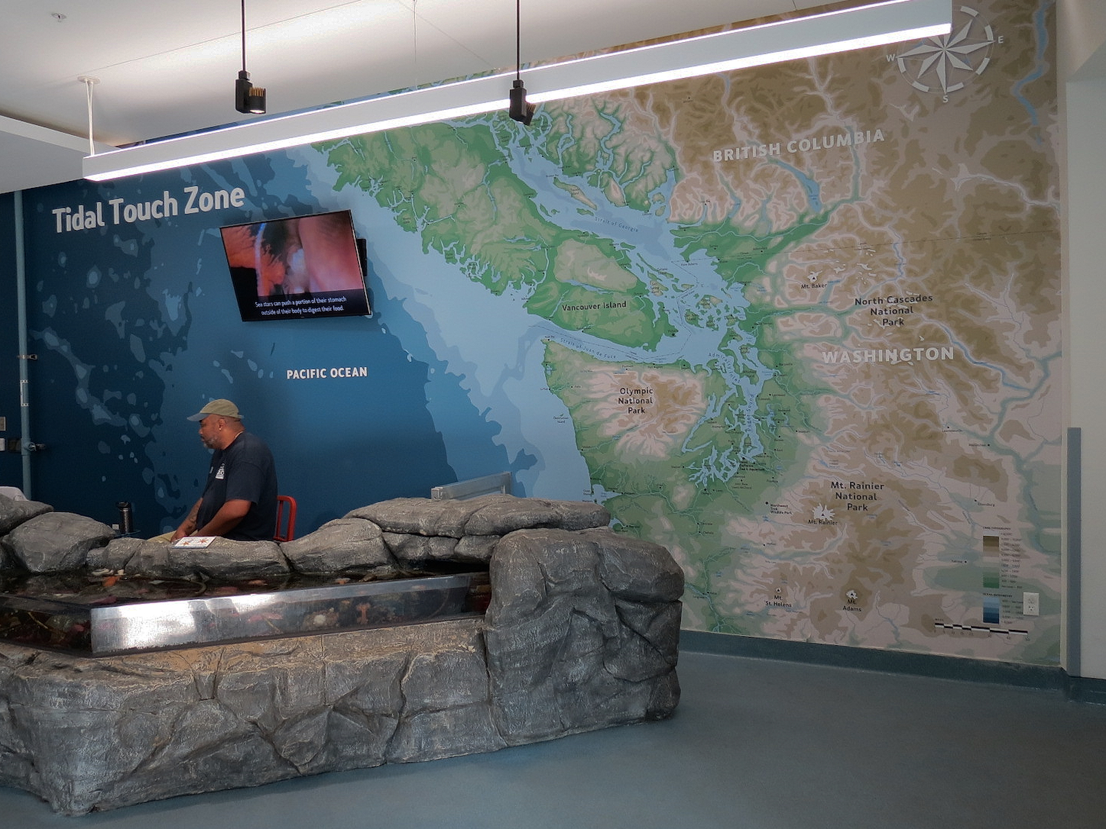 Pacific Seas Aquarium - Tidal Touch Zone