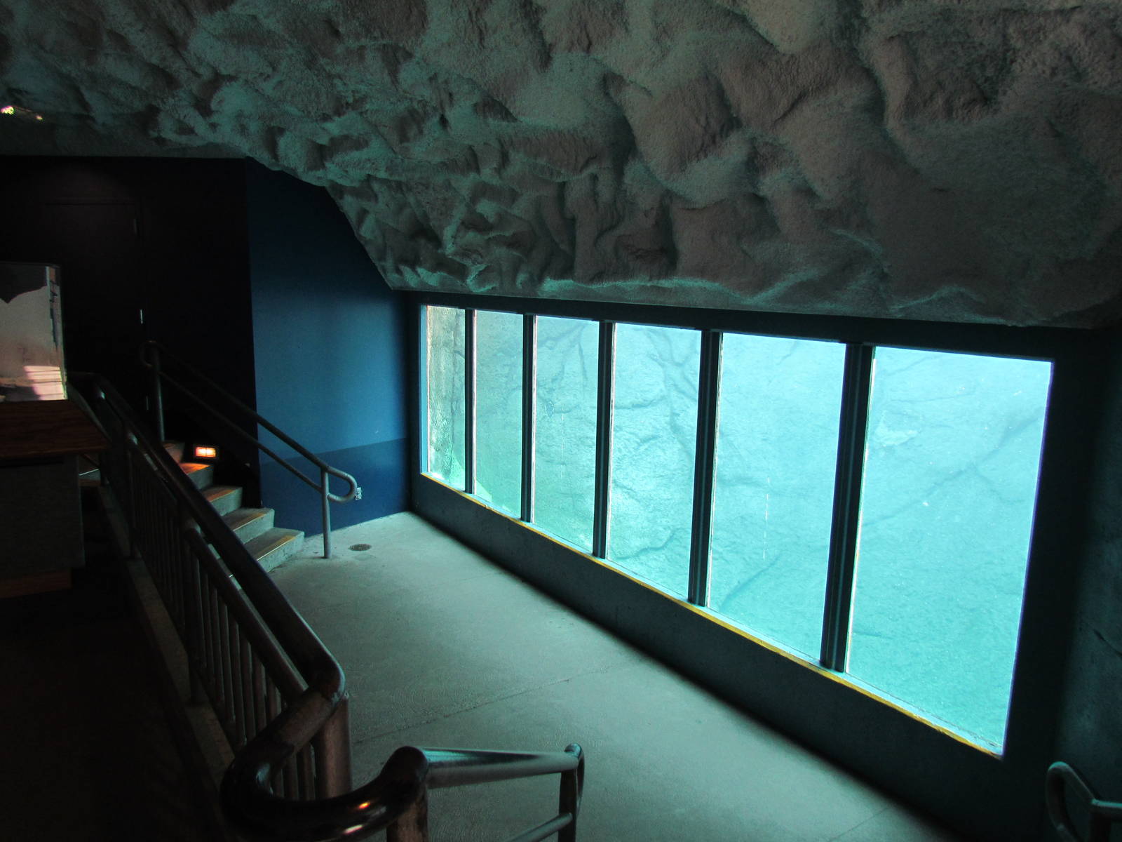 Pacific Shores - Polar Bears