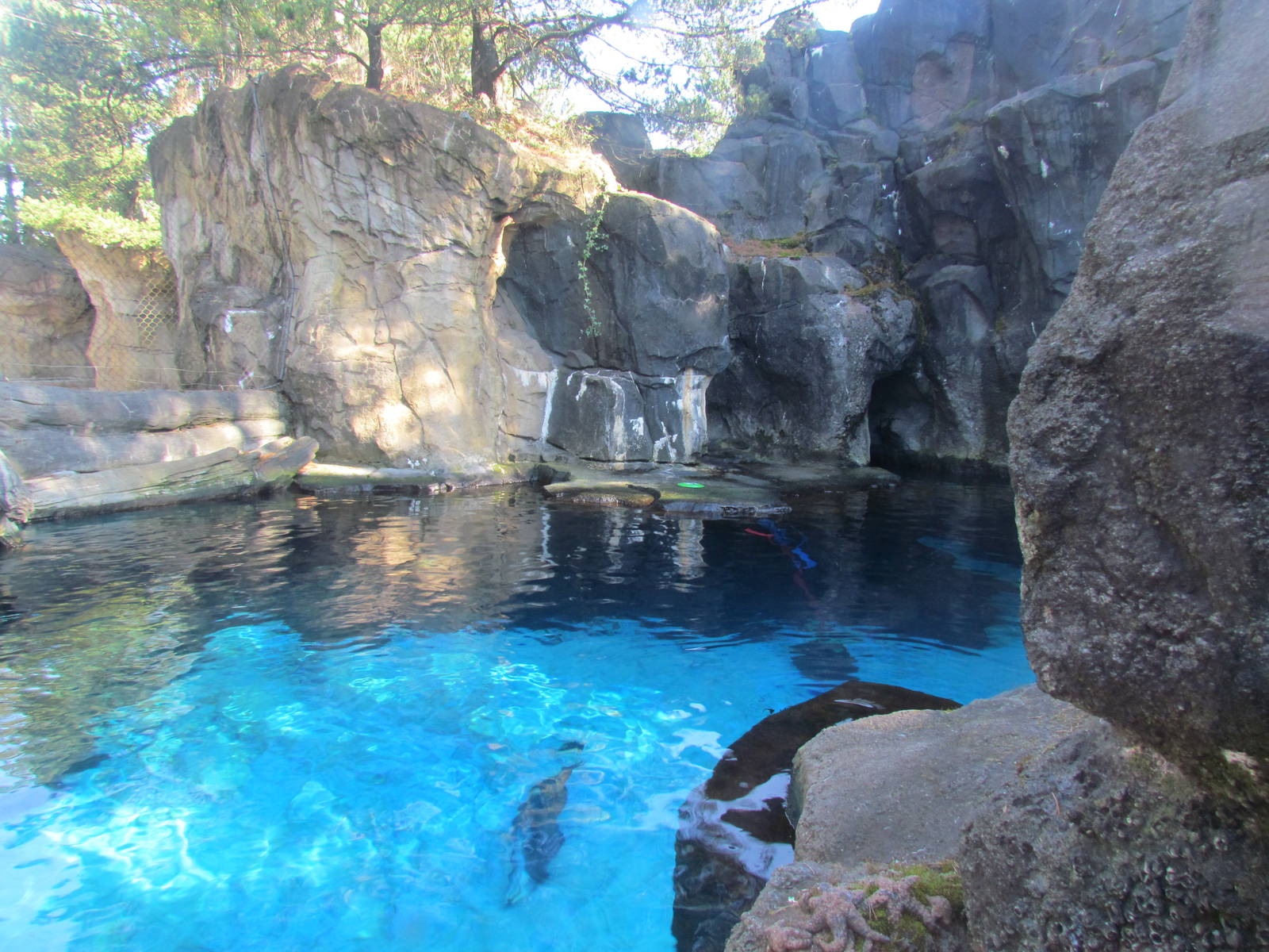 Pacific Shores - Steller Cove