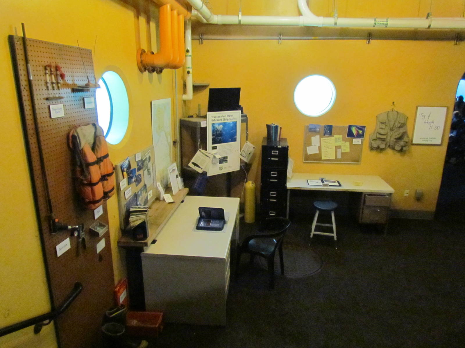 Pacific Shores - Steller Cove