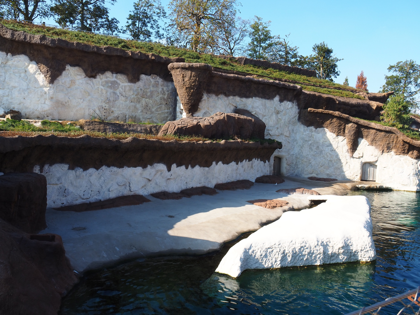 Pacific walrus exhibit, 2020-09-02