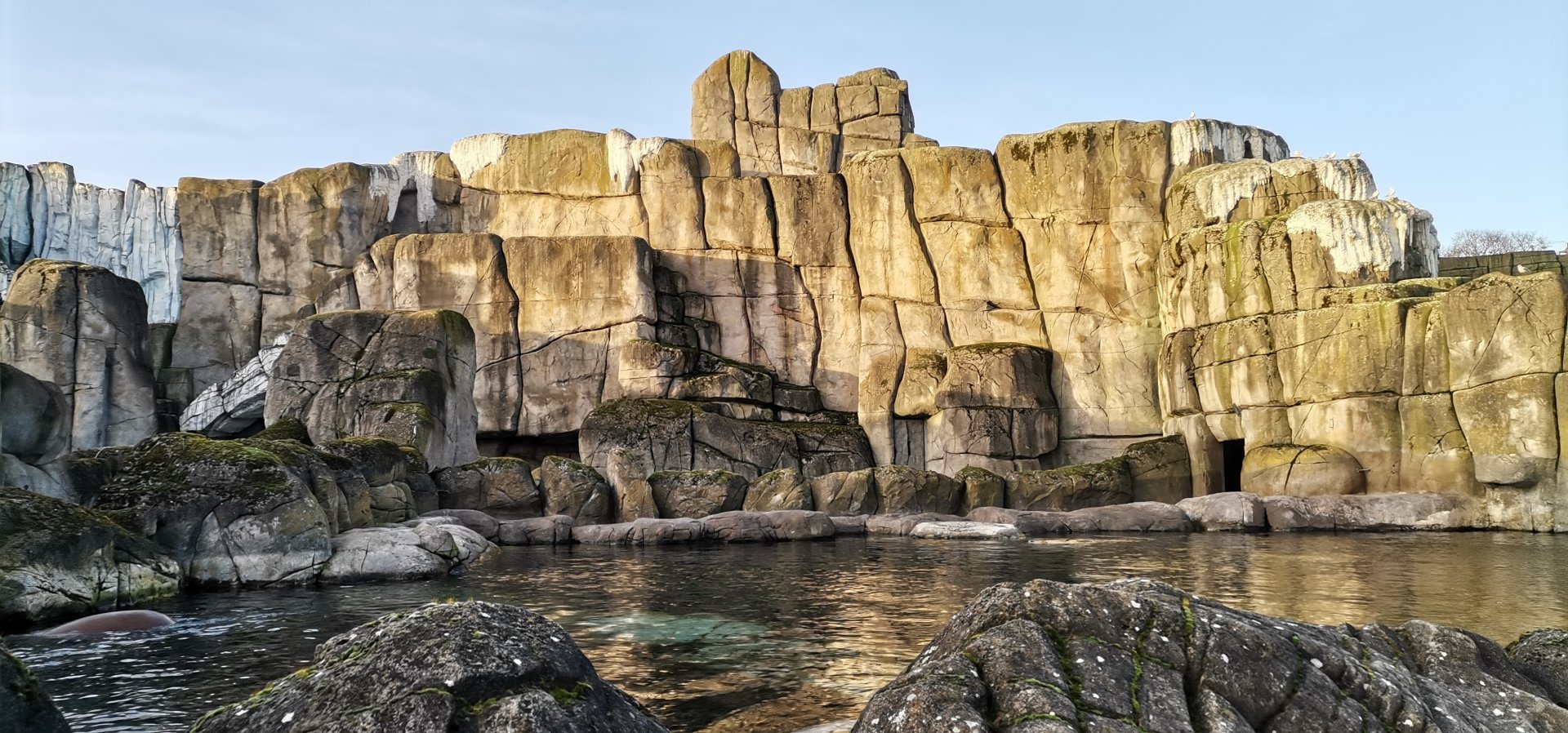 Pacific Walrus exhibit , Eismeer