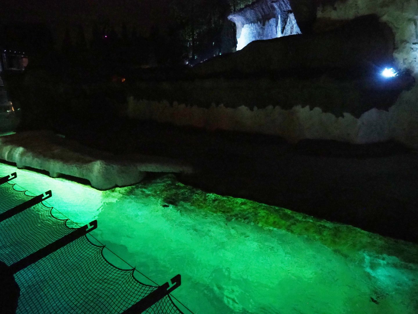 Pacific walrus exhibit in the evening, 2020-09-02