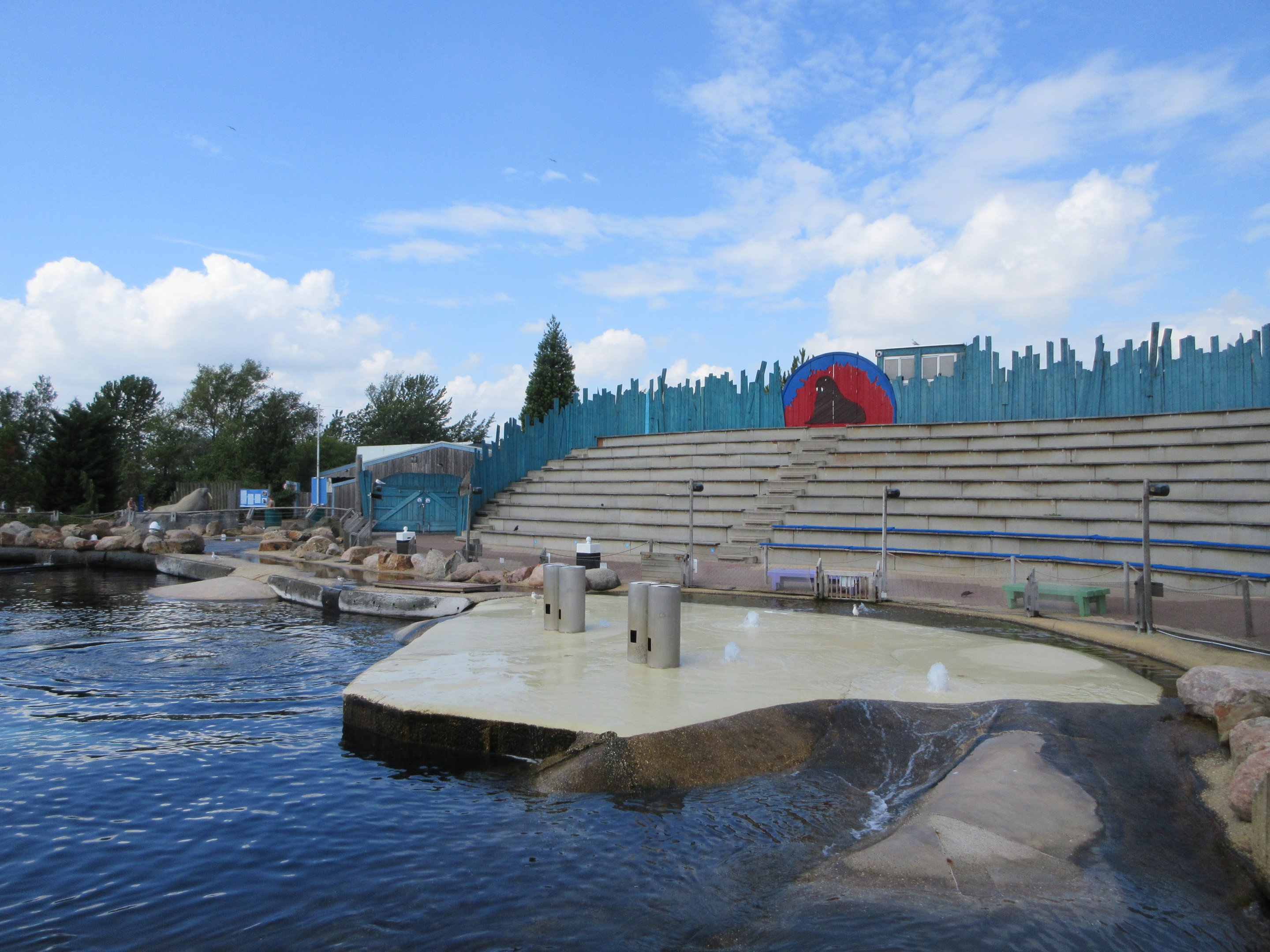 Pacific Walrus Exhibit - seating area