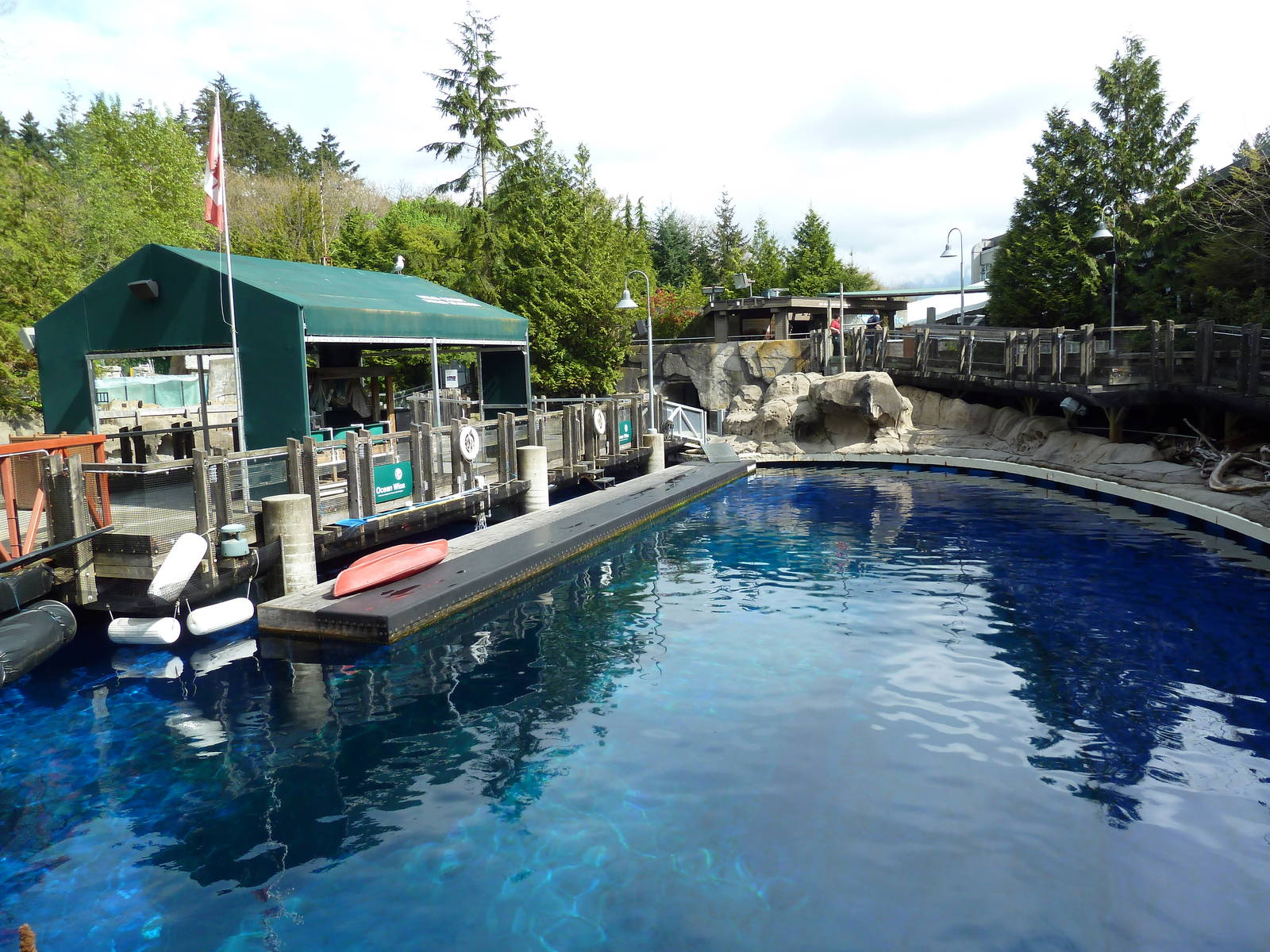 Pacific White-Sided Dolphin Exhibit