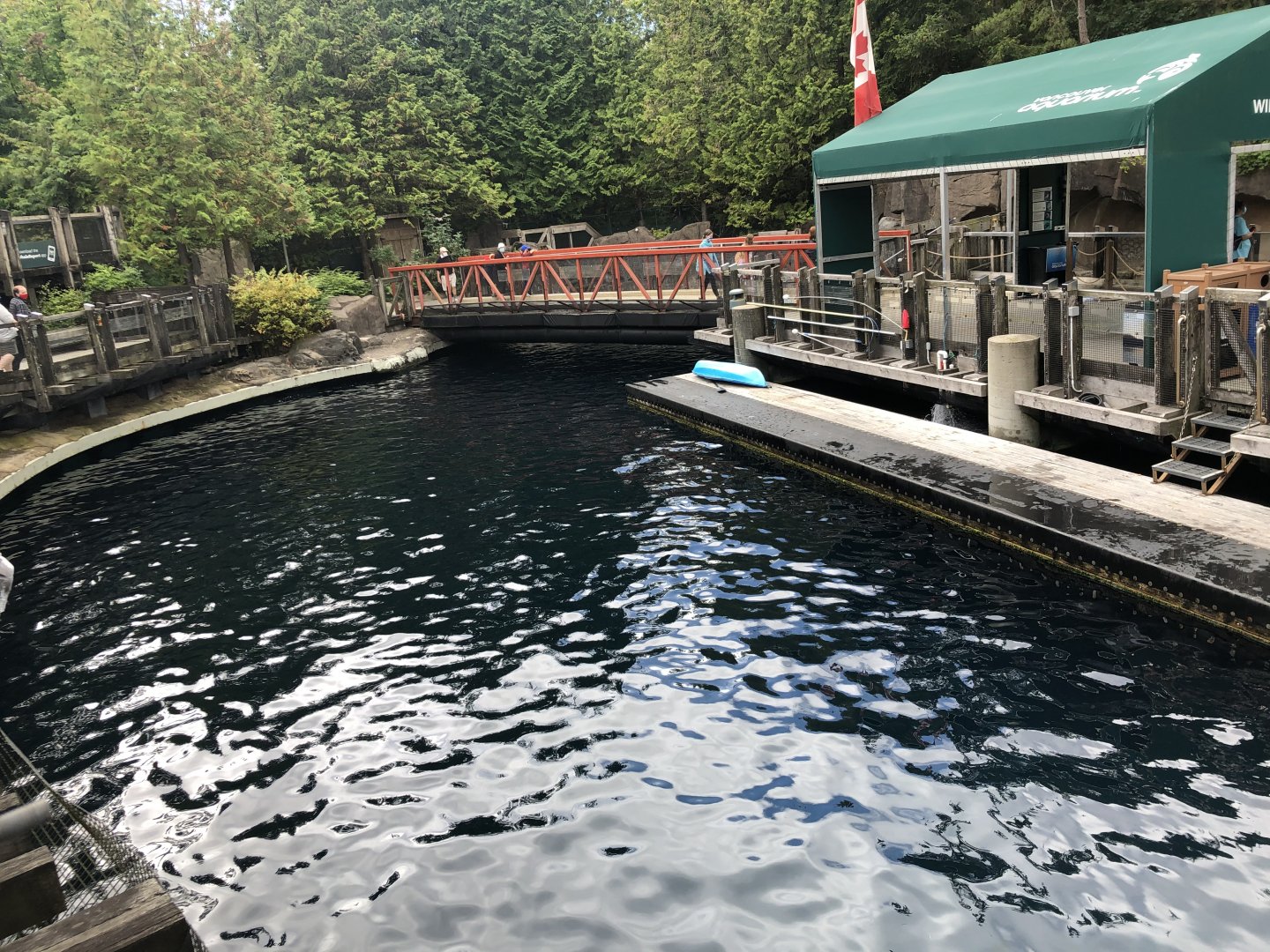 Pacific White-Sided Dolphin Exhibit