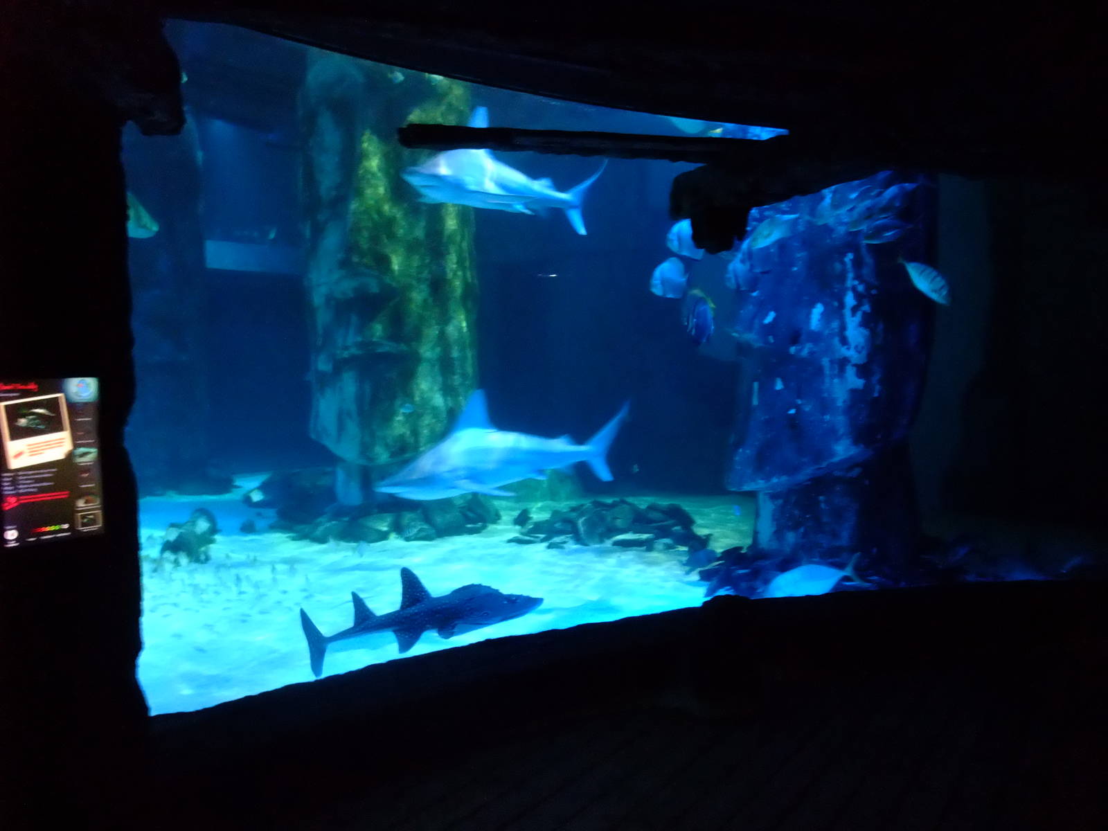 Pacific Wreck Tank at SLC London, 17/11/11