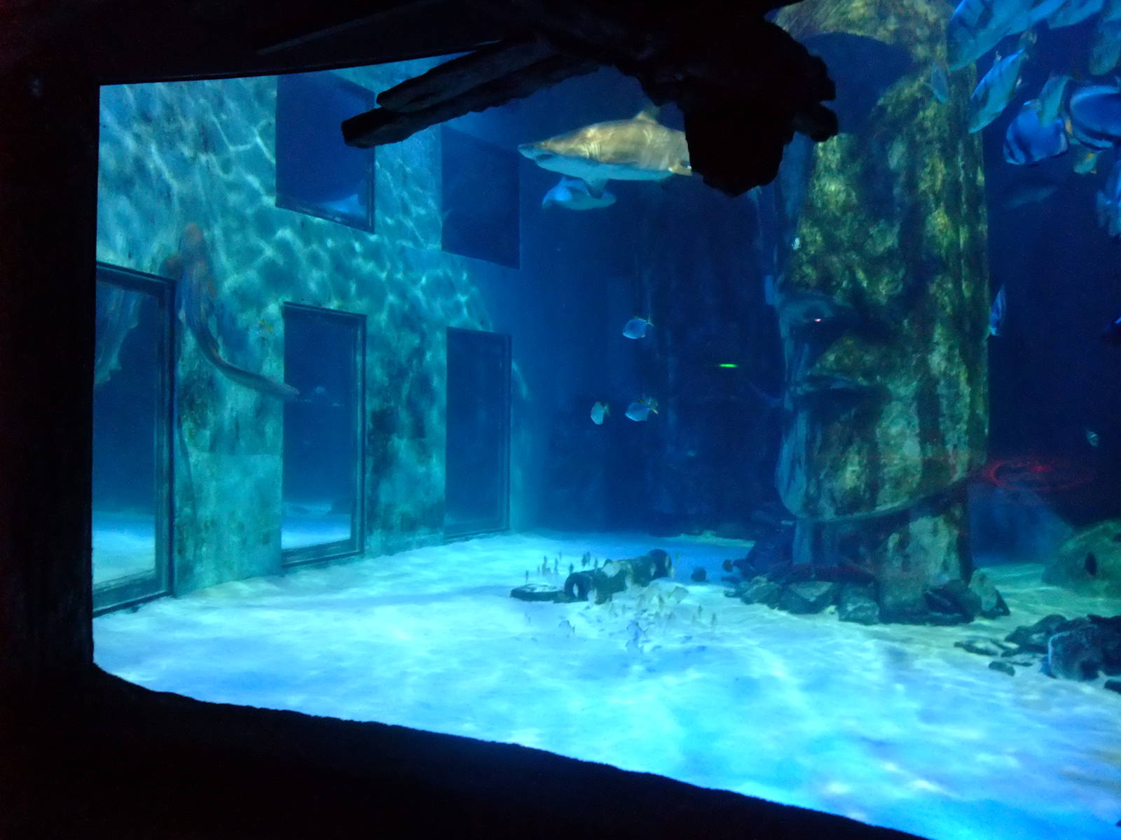 Pacific Wreck Tank at SLC London, 17/11/11