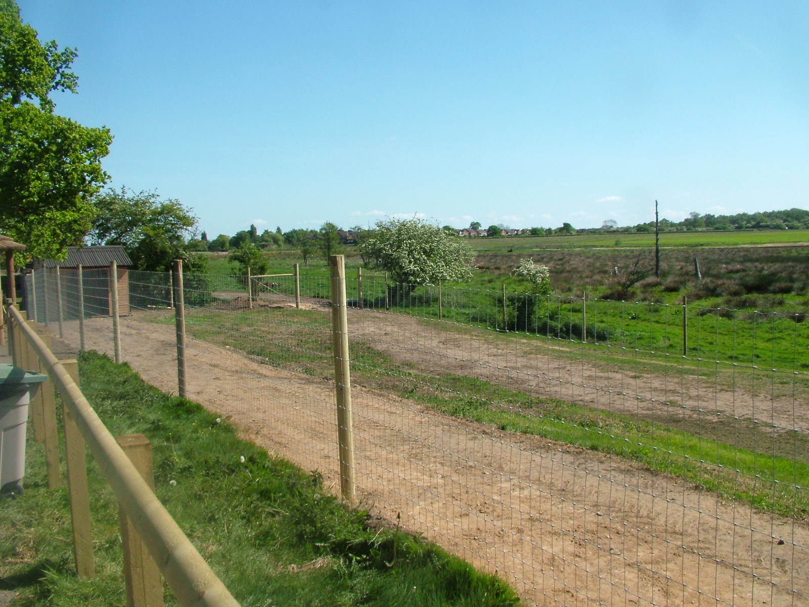 Paddock at Yorkshire WP 02/05/11
