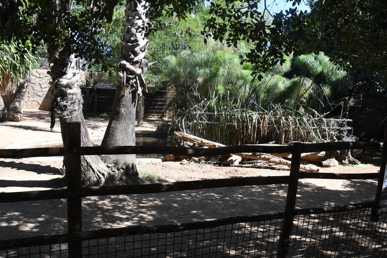 Paddock for Lowland Tapirs and Coscorobas