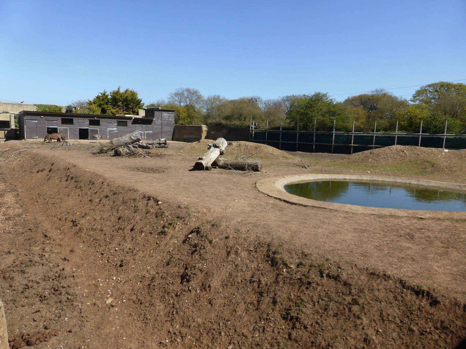 Paddock for Tapir , Greater Rhea and Capybara .
