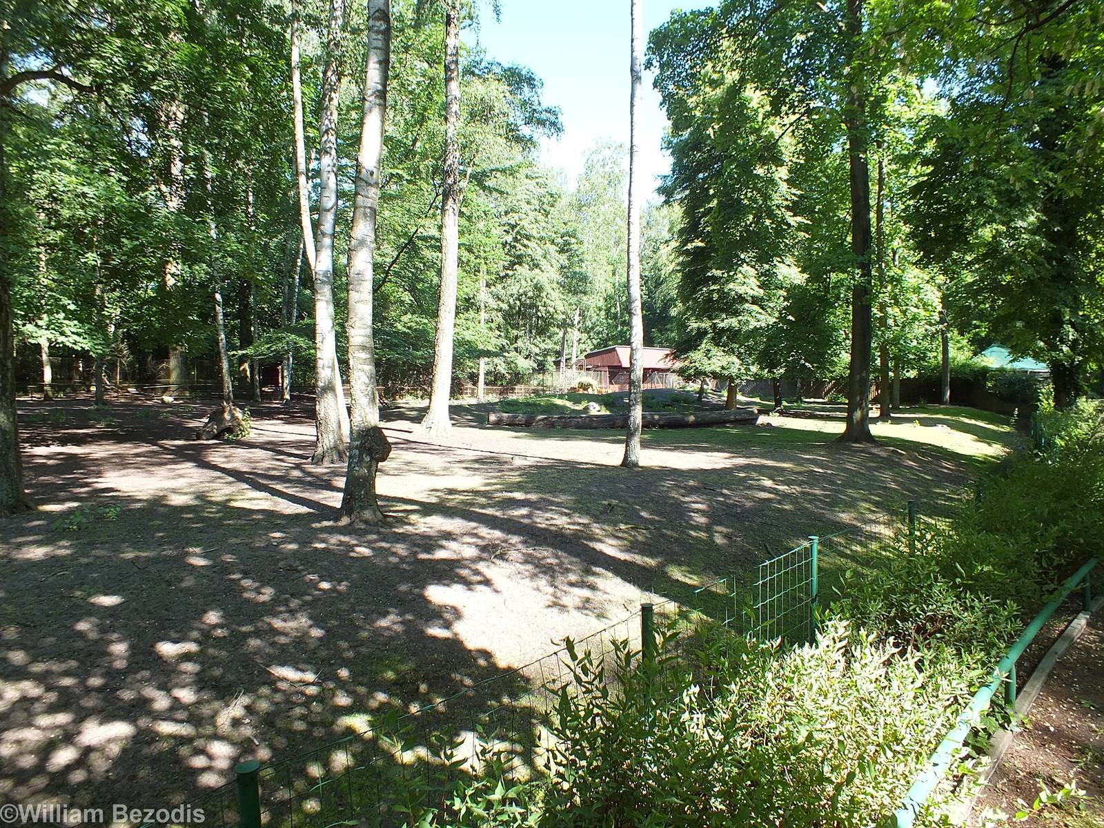 Paddock for Vietnamese Sika Deer