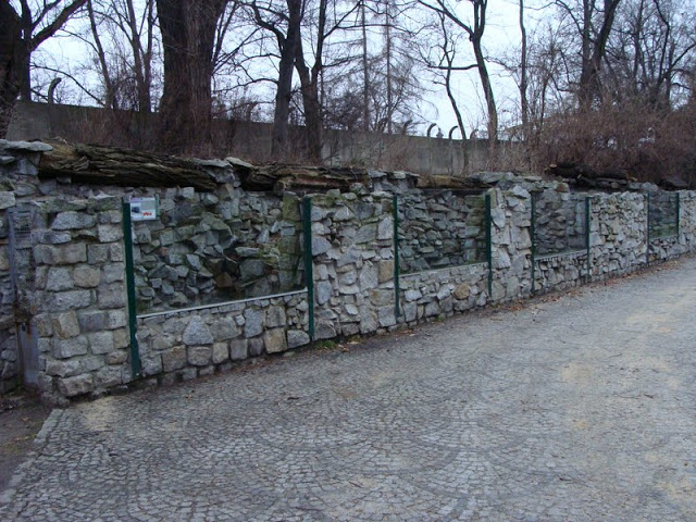 Paddock - Hystrix indica