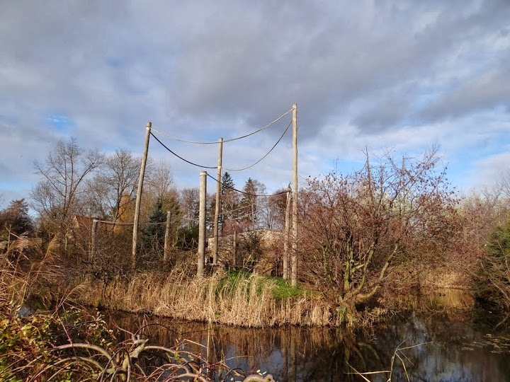 Paddock - island of Hylobates lar