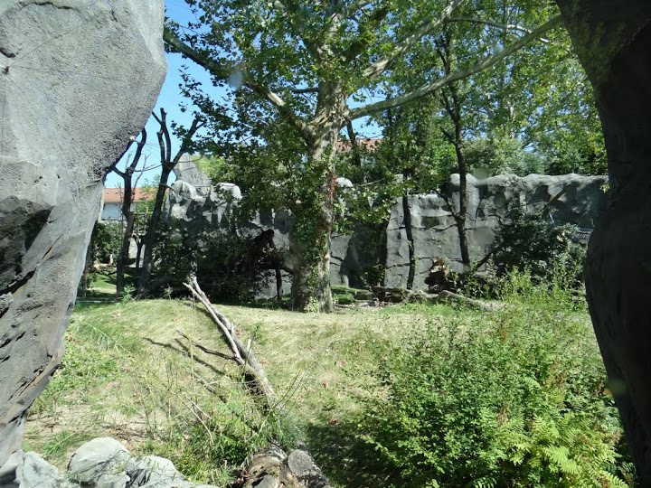 Paddock of Alouatta caraya