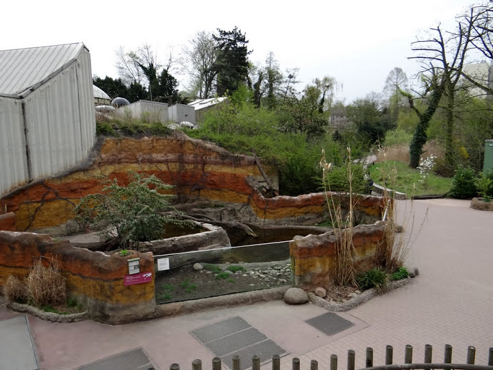 Paddock of Aonyx cinerea