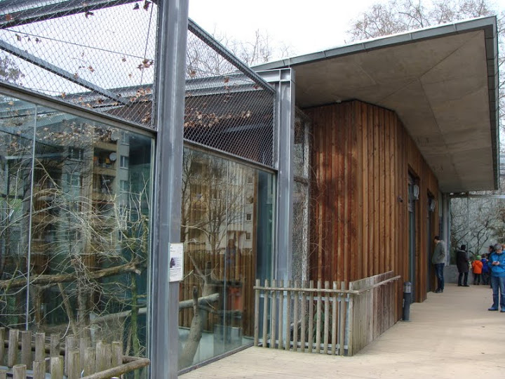 Paddock of Cryptoprocta ferox