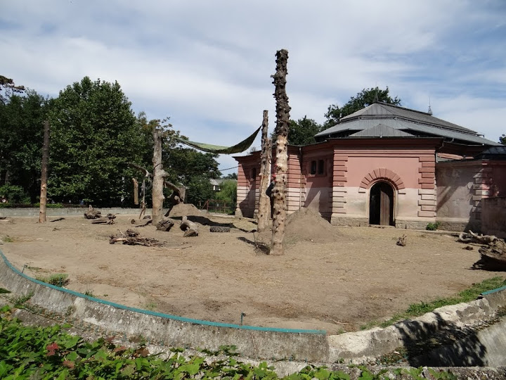 Paddock of Elephas maximus