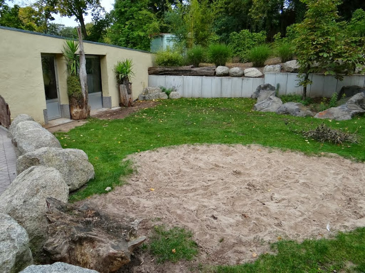 Paddock of Geochelone gigantea