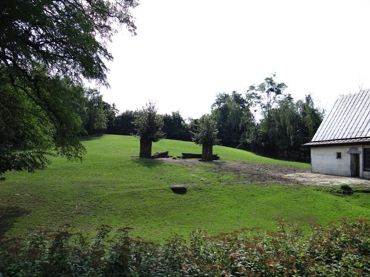 Paddock of Kobus ellipsiprumnus defassa and Tragelaphus speki