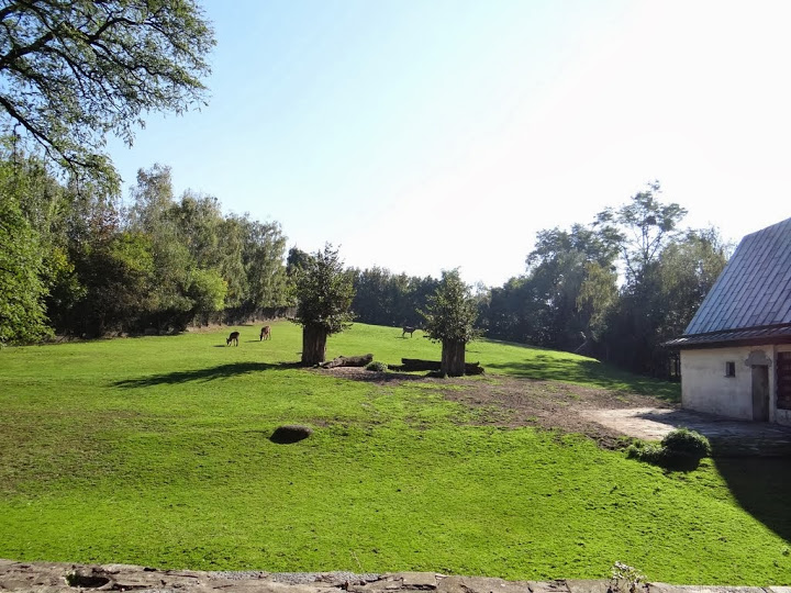 Paddock of Kobus ellipsiprymnus defassa