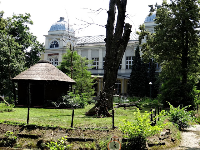 Paddock of lemures and in the background building of the terrarium