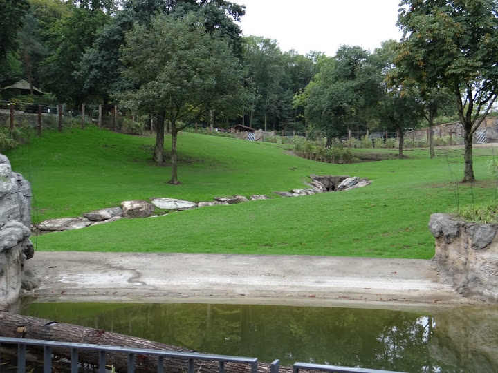 Paddock of Loxodonta africana
