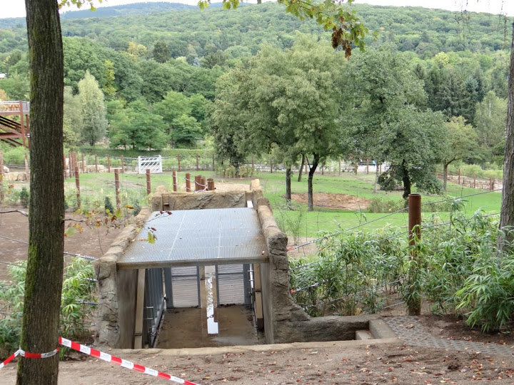 Paddock of Loxodonta africana