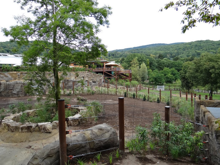 Paddock of Loxodonta africana