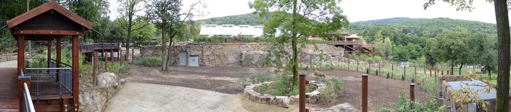 Paddock of Loxodonta africana