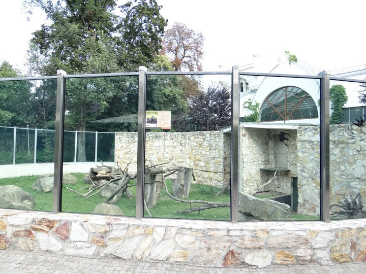 Paddock of Macaca nigra