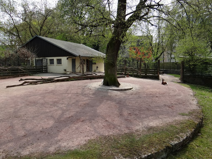 Paddock of Nanger dama mhorr