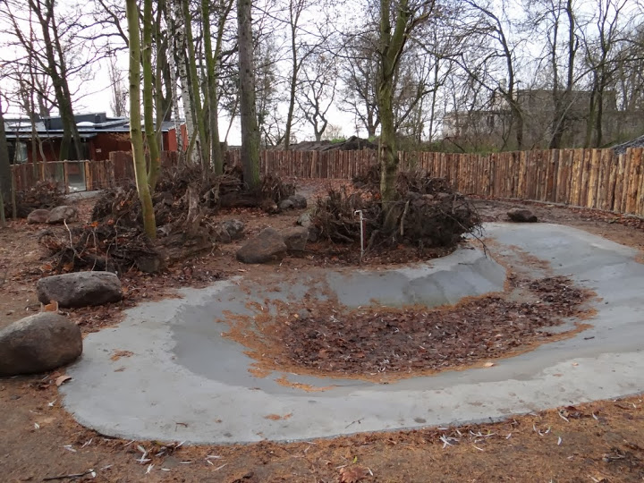 Paddock of Potamochoerus porcus