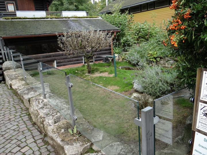 Paddock of Testudo sp.