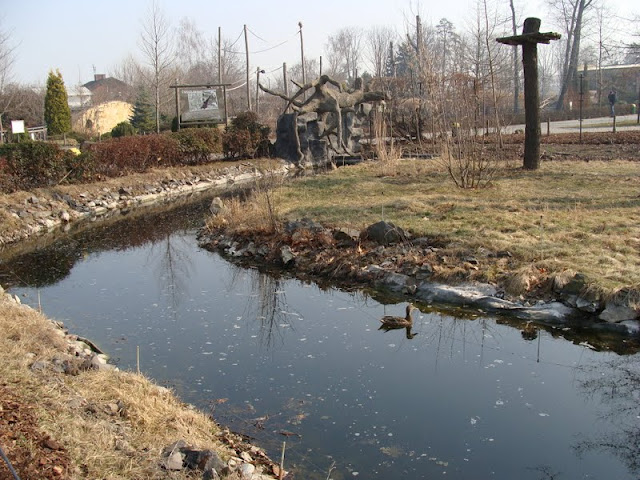 Paddock of the maned wolf