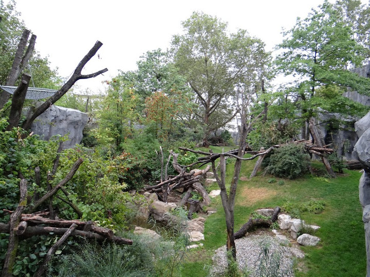 Paddock of Tremarctos ornatus / Alouatta caraya