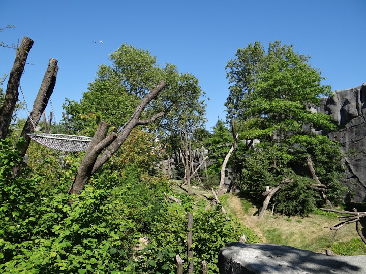 Paddock of Tremarctos ornatus and Alouatta caraya