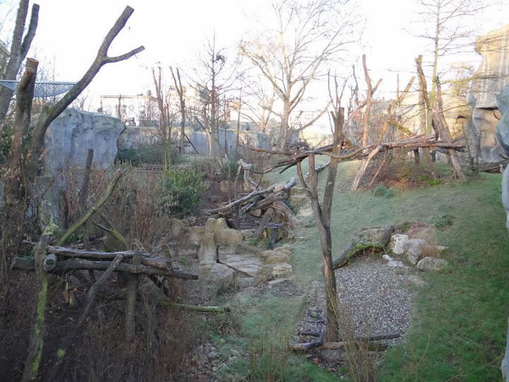 Paddock of Tremarctos ornatus