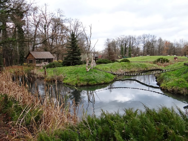 Paddock of Varecia rubra