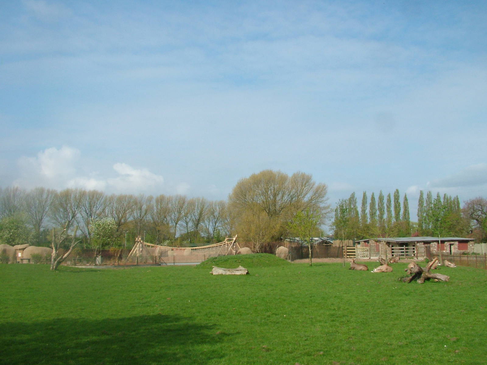 Paddock View at Chester, 16/04/11