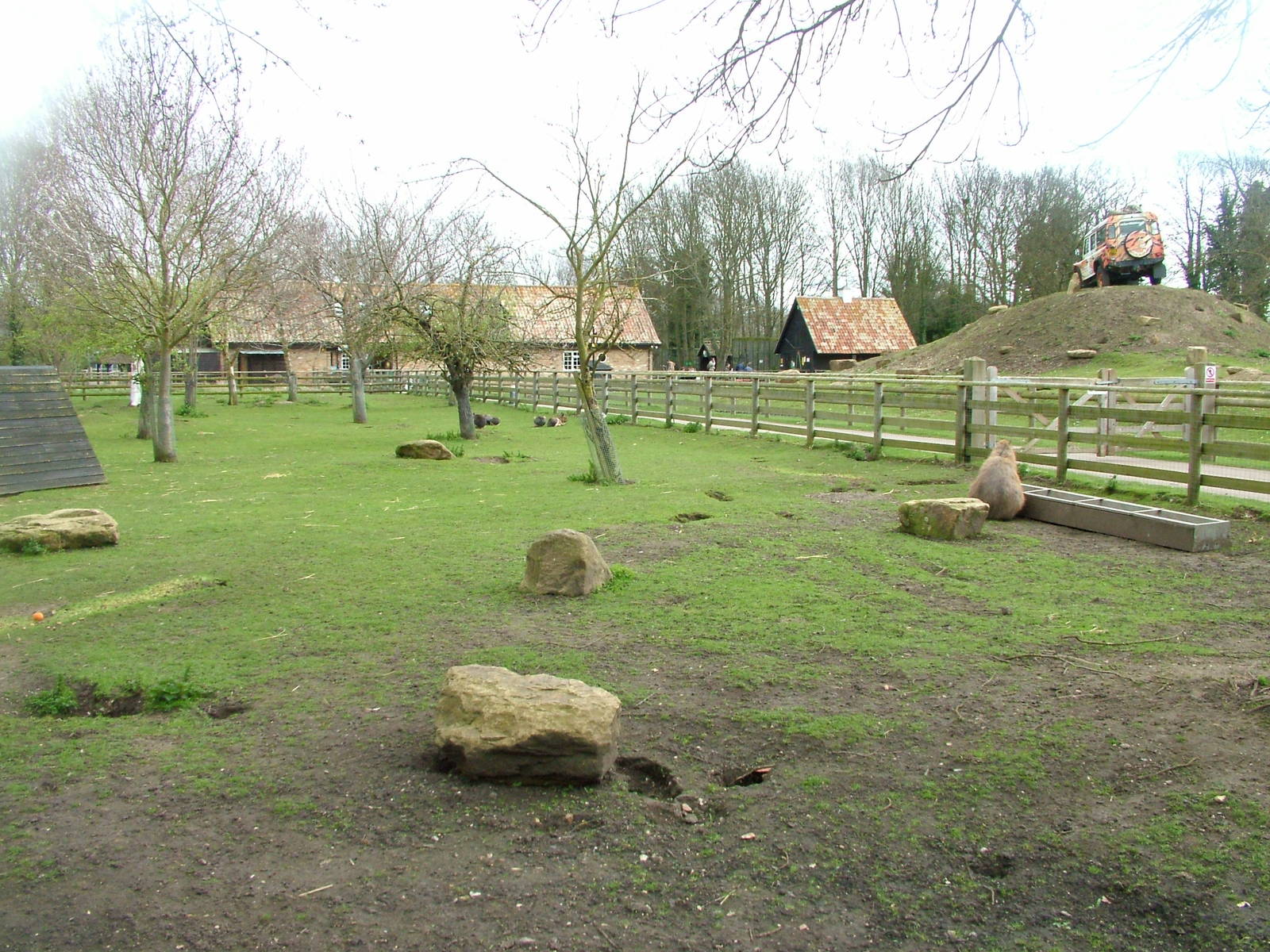 Paddock view at Shepreth 05/04/10